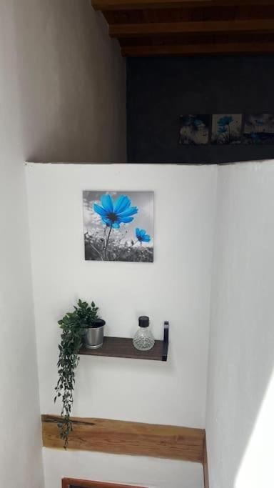 Ca La Trini Vivienda Vacacional Nava Buitenkant foto