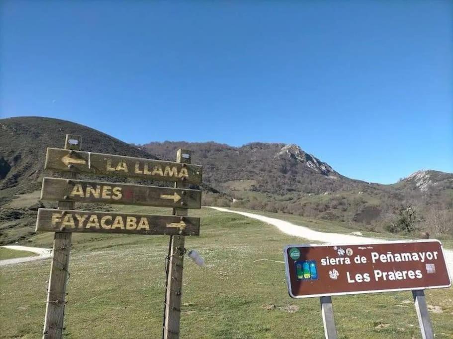 Ca La Trini Vivienda Vacacional Nava Buitenkant foto